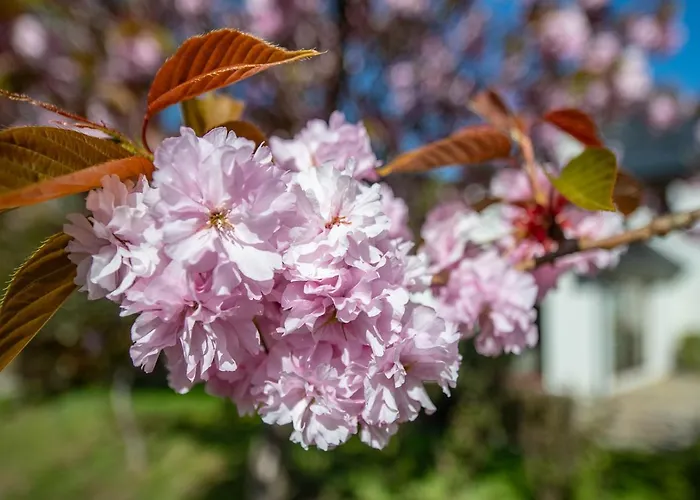 Large To Sleep 8 In Kenmare. Free Use Of Pool Onsite *