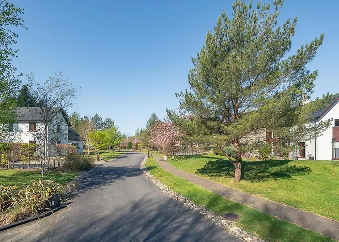 Large To Sleep 8 In Kenmare. Free Use Of Pool Onsite